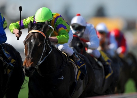 BetAnySports RaceBook Rewards